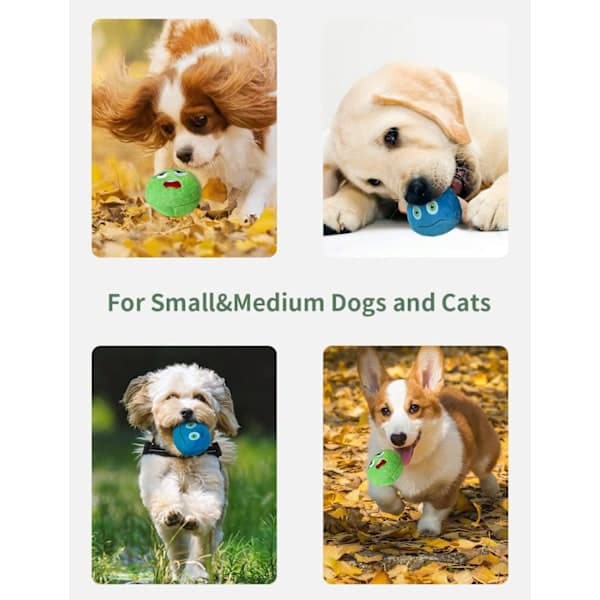 Dog Toy Set: 8-Pack Soft Stuffed Plush Balls, Squeaky Chew Toys, and Interactive Throw Toy for Small and Medium Pets