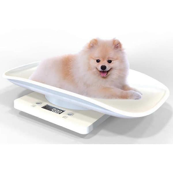 Multifunctional Pet Scale Small Animal Cat & Dogs Digital Weight for Small Pets