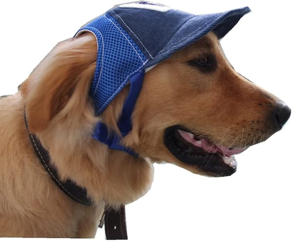 Sommer Pustende Hund Baseballcaps Med Ørehull Mesh Hundecaps For Mellomstore Store Hunder