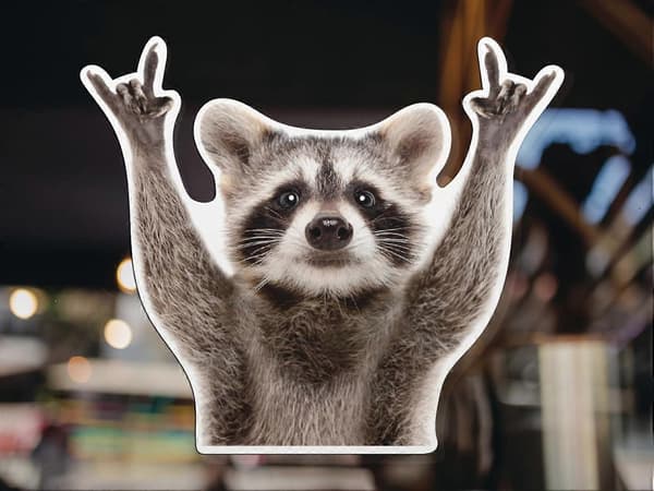 Rocking Raccoon Sticker, Decal Car Laptop Wall Window Bumper Sticker