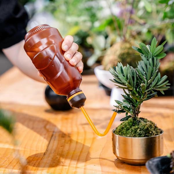 Indoor Plant Watering Can, Small Bonsai Watering Can, Can Be Inverted