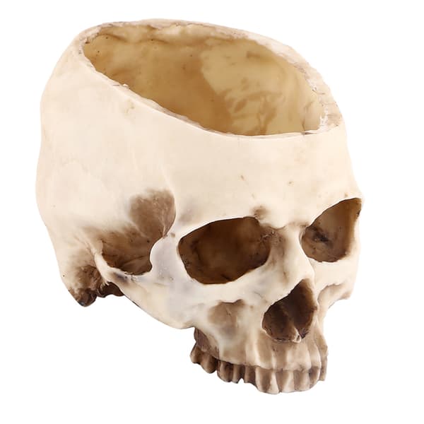 Skull Head Resin Flower Pot, Unique Decorative Planter Container