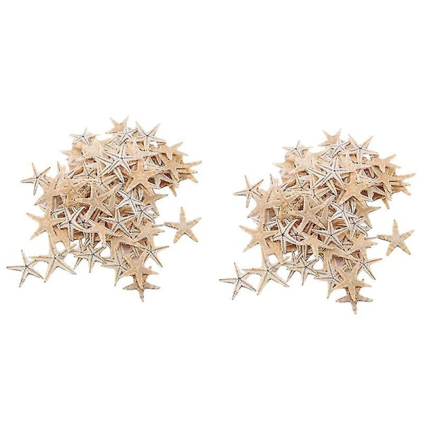 100 stycken naturliga sjöstjärnor skal strand hantverk DIY strand hantverk 1-5cm