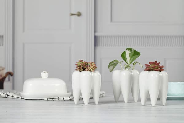 Dent Succulent Pot Set of 3, Small Cactus Plant Ceramic Planter Cachepot Planting Container