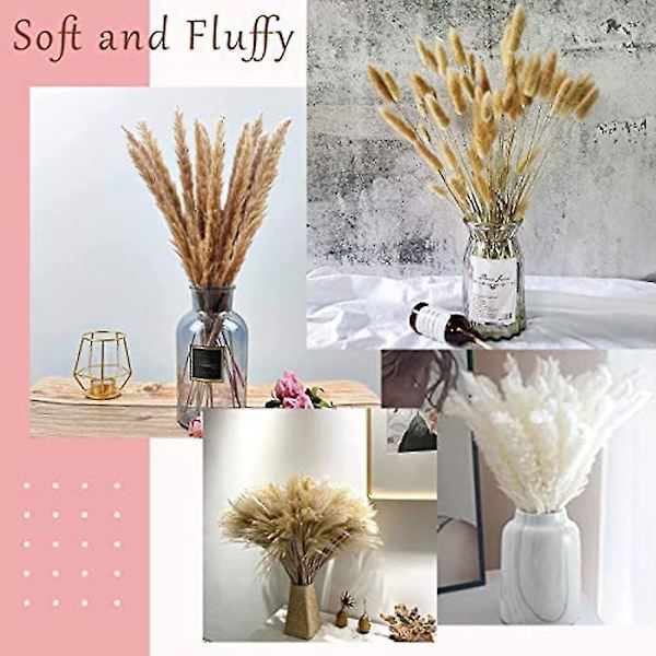 Tørkede Blomster Dekorasjon Bukett Dekor Fluffy Planter Tørre Blomster Kompatibel Med Vase, Boho Og Vintage Dekor