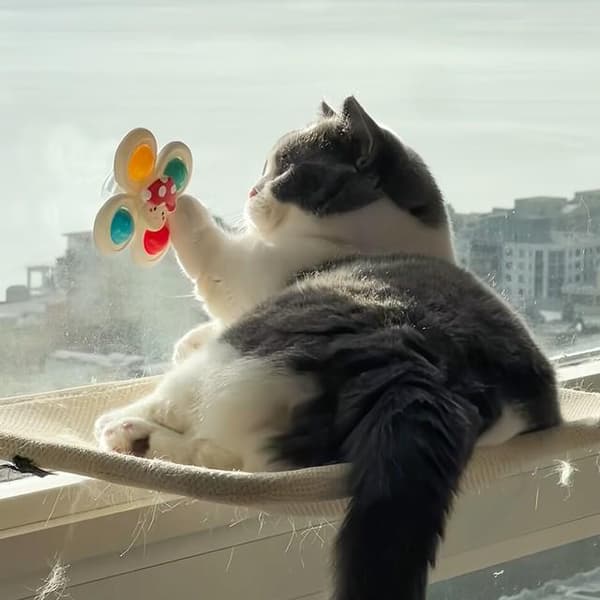 Cat Suction Cup Spinner Toy, Interactive Rotating Teaser, Interactive Pet Puzzle Toy for Indoor Cats