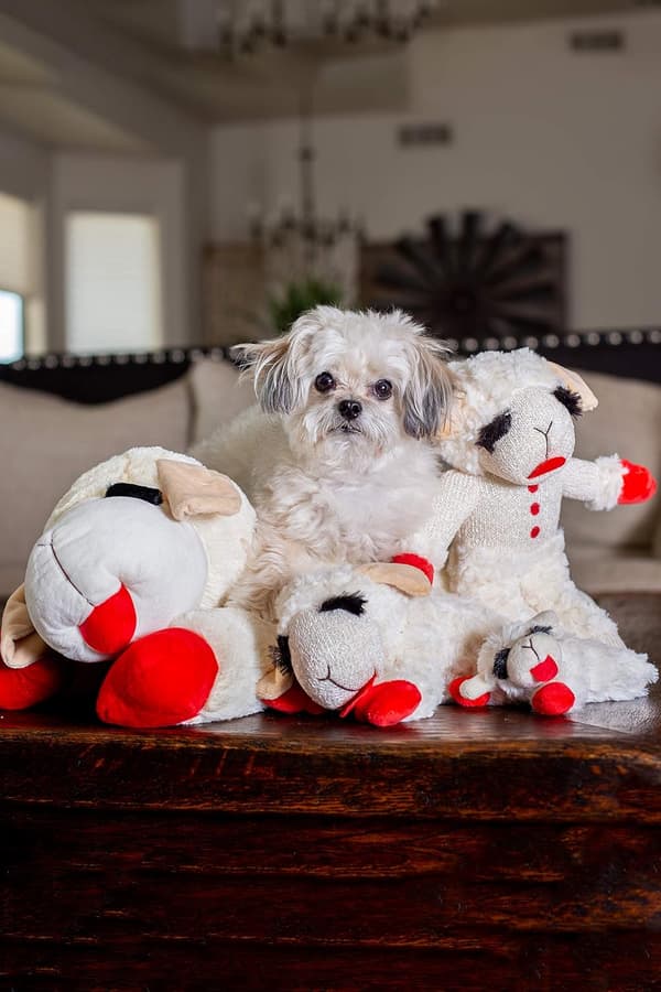 Blød hundelegetøj, Lambchop, 10 \" Regular, Hvid, Stor