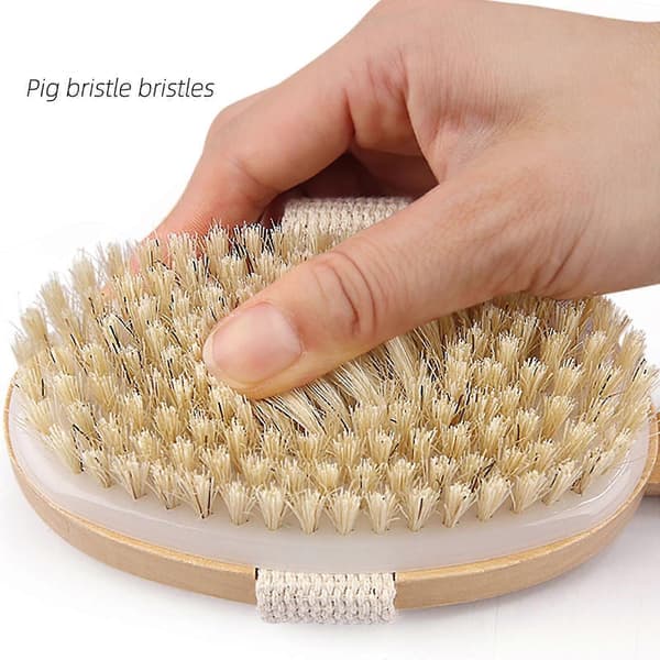 Long Handle Bath Brush for Wet or Dry Brushing in the Shower