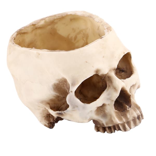 Skull Head Resin Flower Pot, Unique Decorative Planter Container