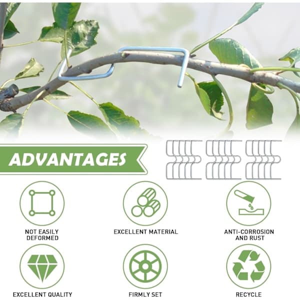 30 Pieces Fruit Tree Branch Spreaders, Fruit Branch Holders, Metal Branch Clamps for Garden Branches, for Spreading and Stretching Fruit Tree Branches
