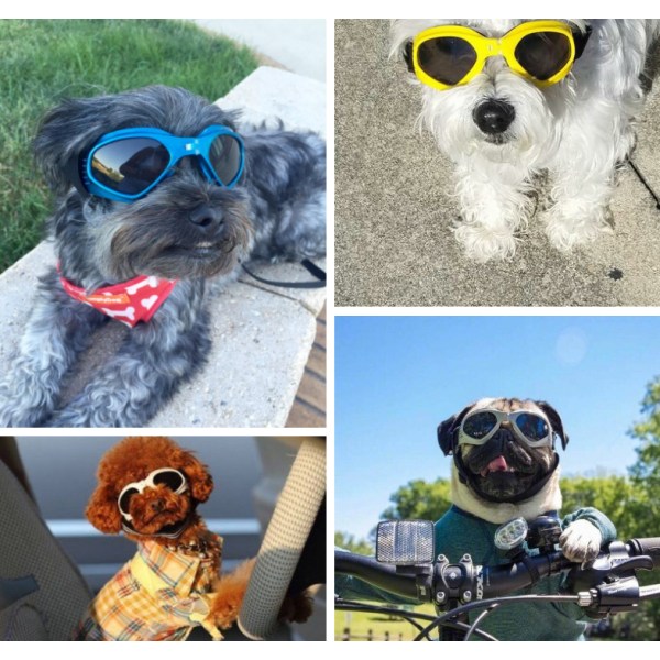 Kjæledyrsbriller Hundebriller Sammenleggbare kjæledyrbriller Rød