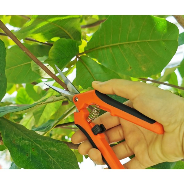 Ammattimainen G85 ruostumaton teräs manuaalinen puutarhanhoito oksasakset oranssi musta suora puutarhasakset korttipakkaus (oranssi)