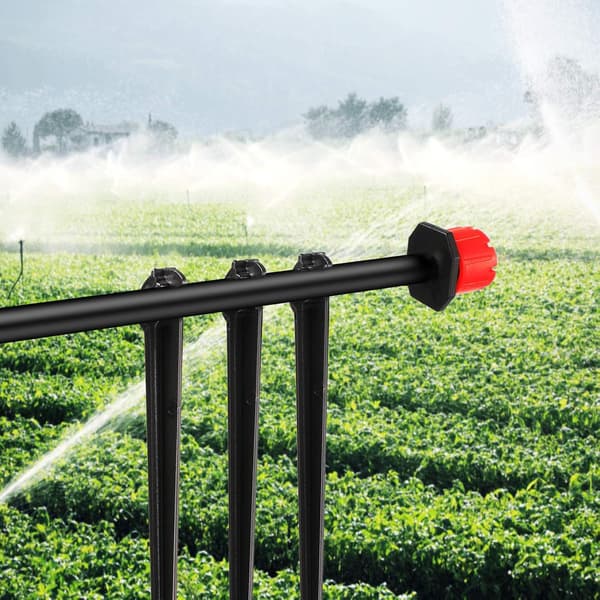 240 stk. drypvandingspæle til 1/4 tomme slange, sort Blue