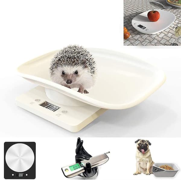 Multifunctional Digital Pet Scale Large LCD Screen Electronic Scale Weight 10kg Capacity Pet - Perfet