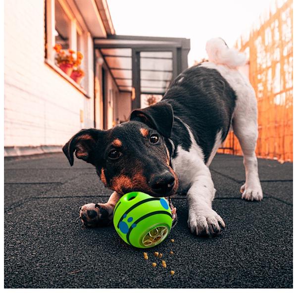 Hundboll, Vobblande Skrattande Hundboll för Valpar Små Hundar, Interaktiv Hundleksak, Vagglande Kvittrande Leksak, Valp Tugga Odestrukterbar Boll för Små Raser