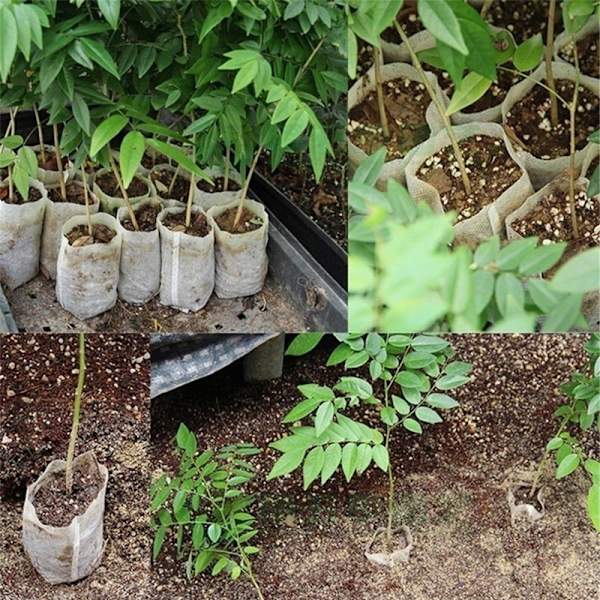 Plantväxthuspåsar i tyg, fröplanteringsväskor för växter, frukt, grönsaker, transplantation, odlingsfickor, 100 st