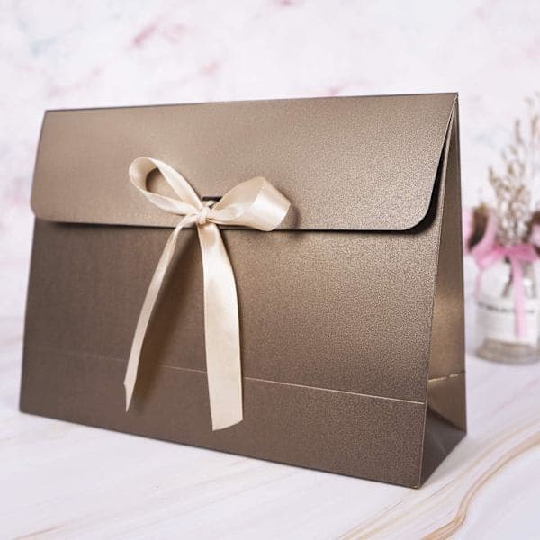 10 Large Envelope Gift Bags, Cardboard Gift Box with Lid and Decorative Satin Ribbon, Textured Christmas Gift Boxes