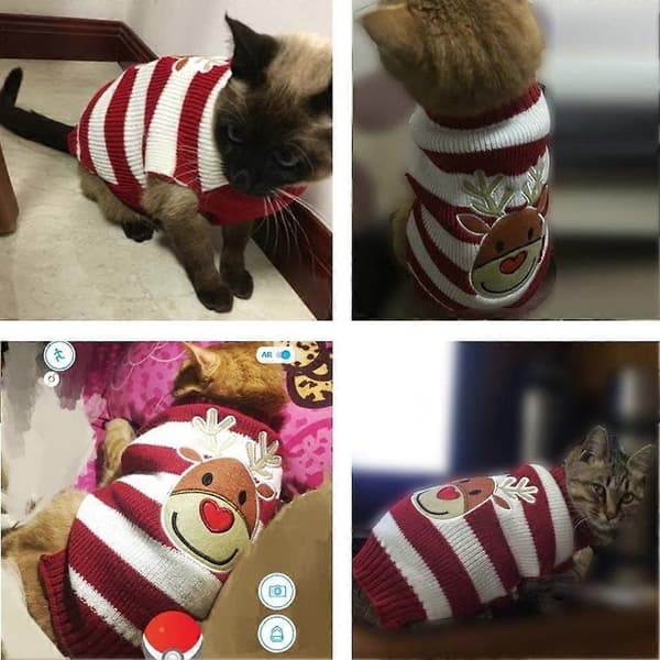Hundtröja för Jul med Tecknad Ren, Husdjurskatt Vinter Stickade Varma Kläder - Röd älg Storlek M