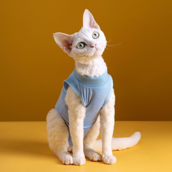 3 delar kattåterställningsdräkt Kattungeåterställningsdräkt E-halsband alternativ för katter och hundar bukhud Anti-slickande pyjamasdräkt (enkelt mönster, stor)