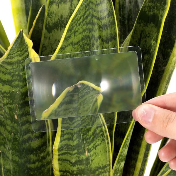 3X taskusuurennuslasi - 5 kpl kannettava 5 kpl-tasku 5Pcs-Pocket Magnifier