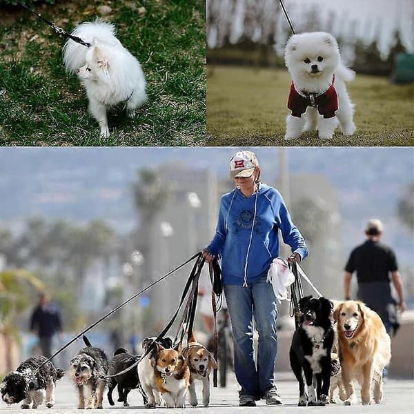 Mainiusi 30M Long Dog Leash with Padded Handle, Long Dog Leash 30M Long Dog Training Leash Tracking [XH]