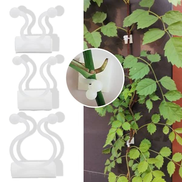 Kasvipidike seinälle L-50KPL L-50kpl L-50kpl L-50pcs