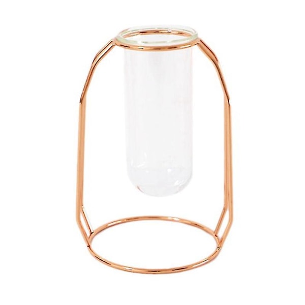 S Creative Hydroponic Vase Nordic Ins Hjem Stue Rose Gold