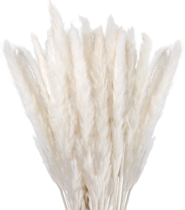 Torkade Pampasgräs Dekoration Set om 30, Pampas Blommor för Deko Vardagsrum, Sovrum, Interiör, Hus, Kök, Hem, Balkong (Vas ingår ej)