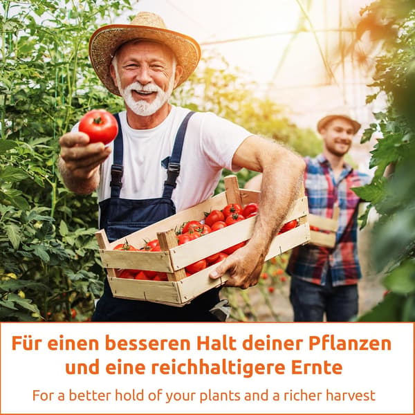 60x Plantebindere Bindere til tomatplanter, 4 cm / 6 cm Vinstokke, Roser