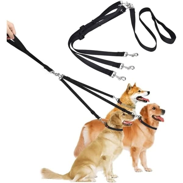 Galaxy Leaf 3-in-1 Dog Leash, Adjustable Leash, Detachable Dog Leash, Jogging Leash for Medium Dogs