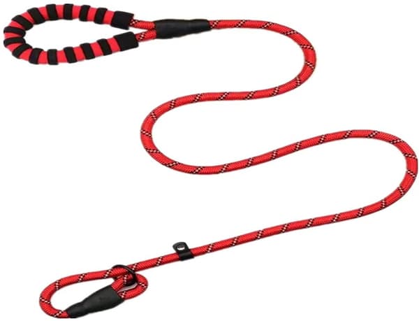Nylon Dog Leash, Basic Leash for Training and Walking, Red, Approx. 4.5 ft