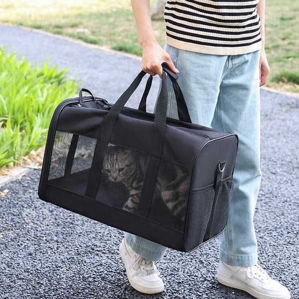 Hunde- og kattebur, blød transportkasse til kat og hund, sort