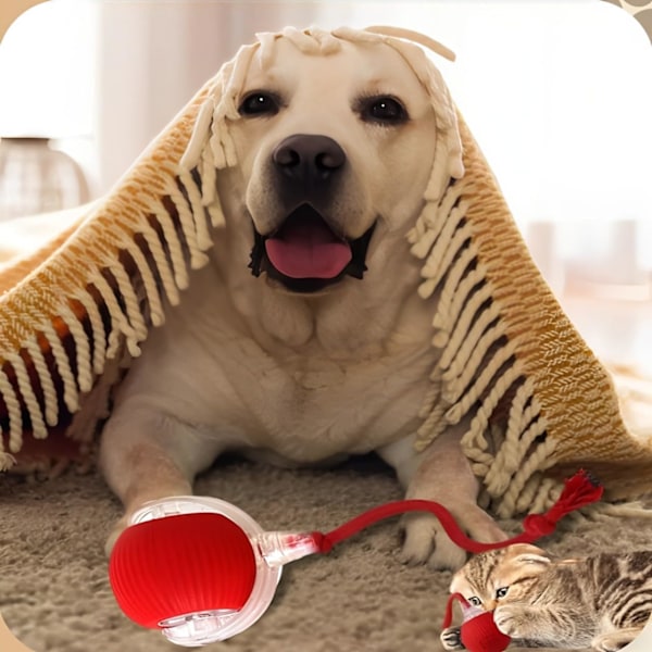 2 stk 360° Smart Automatisk Rullende Dyrebold, Genopladelig Uregelmæssig Bevægelse til Katte & Hunde, Rød