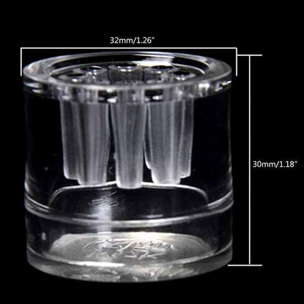 Akvarieigelfälla 8 hål Transparent akryl miniburk Planariafälla