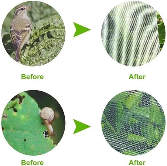 Plant Protection – Dome-shaped – 5-pack – 60x60x120 cm – HDPE Net – With Drawstring – Protects against insects and birds – Dome-shaped – With Drawstring – Reusable