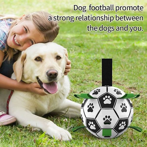 Hundelegetøj, interaktive hundefodbolde med gribeflapper, holdbare hundebolde til små og mellemstore hunde