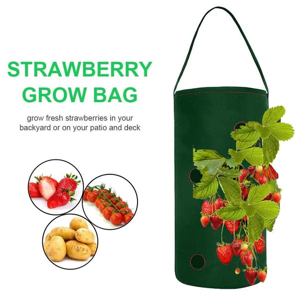 Hängande jordgubbsodlingspåsar för trädgård, 2-pack, 22 x 38 cm
