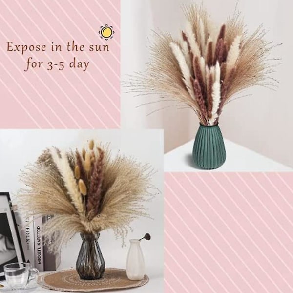 Tørrede Blomster Dekoration Buket Dekor Bløde Planter Tørre Blomster Kompatibel Med Vase, Boho Og Vintage Dekoration