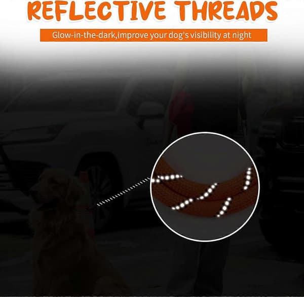 2M Dog Training Leash - Strong Nylon Leash Dog Strap with Hook Buckle and Comfortable Handle - Long Recall Leash