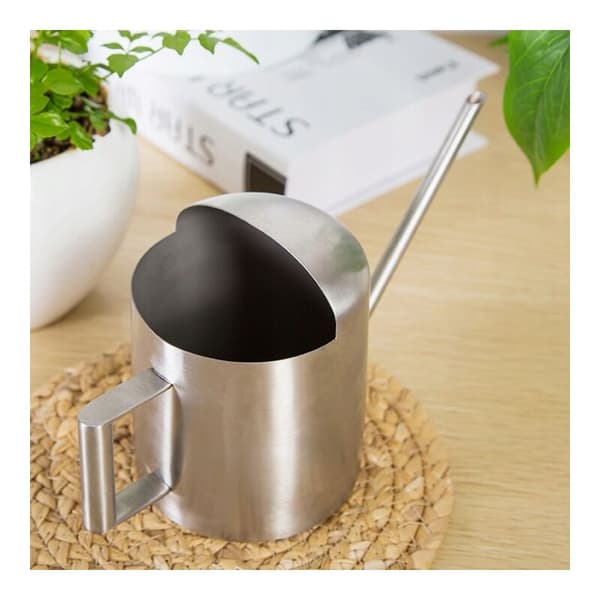 Vandkande i rustfrit stål, havekande, blomstervanding, vandkande, planter, kedel, 300 ml, sølv