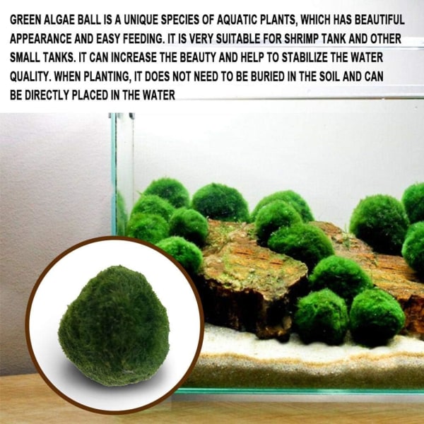 Grønne alger mosbolde, kunstig akvariesimulering, tanglandskab algepynt til akvariedekoration 3 stk små, mellemstore og store