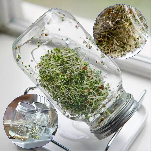 4-pak Mason Jar Spirelåg Rustfrit Stål Rustfrit Mesh Si til Frø og Mikrogrønt