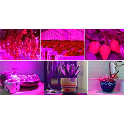 Vekstlys 225 LED-panel | Vekstlampe for optimal planteutvikling{bt}