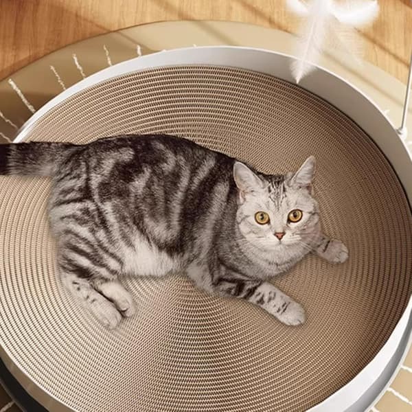 Cat Scratching Board with Track Ball - Round Cat Bed with Bell Ball & Scratching Surface, Spacious Lying Area for Small to Large Cats