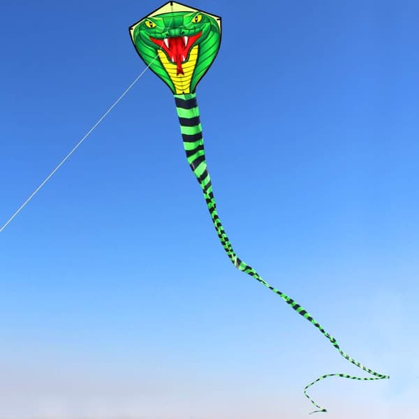 Drage til børn 8-12 år, stor drage til drenge voksne let at flyve og samle, stranddrager med 100m dragesnor - Snake king