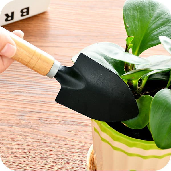 3-piece wall-mounted set for growing flowers garden tools