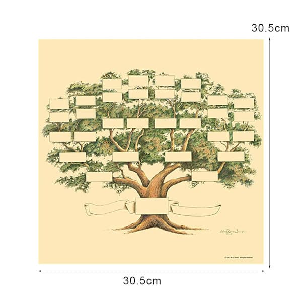 Family Tree Chart for Genealogy and Ancestry -FS-
