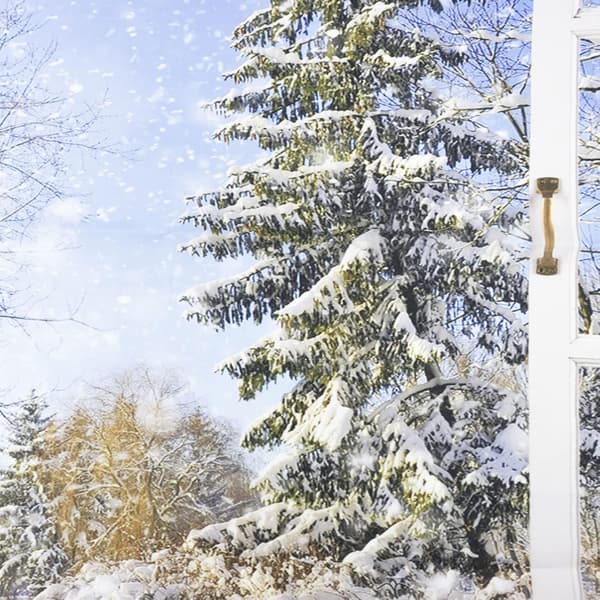 80Wx60H inch Winter Forest Tapestry Wall Hanging Window Outside S