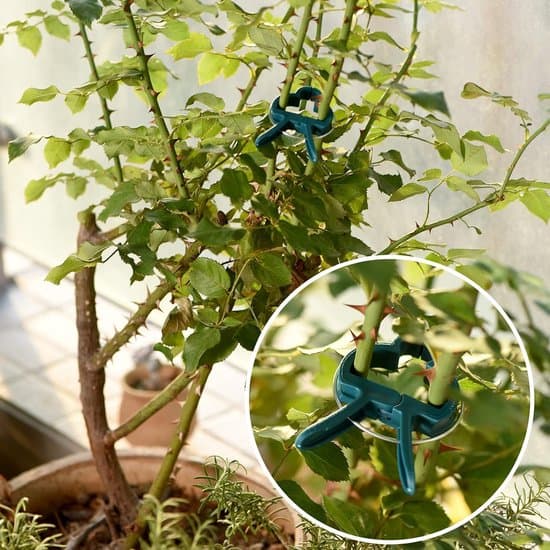 Plant Support Clips - Fasteners for Climbing Plants - Keeps Plants Straight - Flexibly Adjustable - 80 Pieces - Green