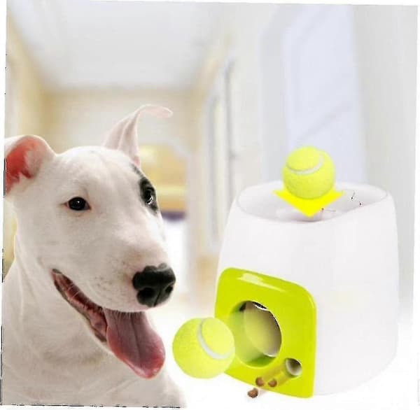 Automatisk boldkaster til hunde, Automatisk boldkaster til hund, Boldkaster til hunde, Hund
